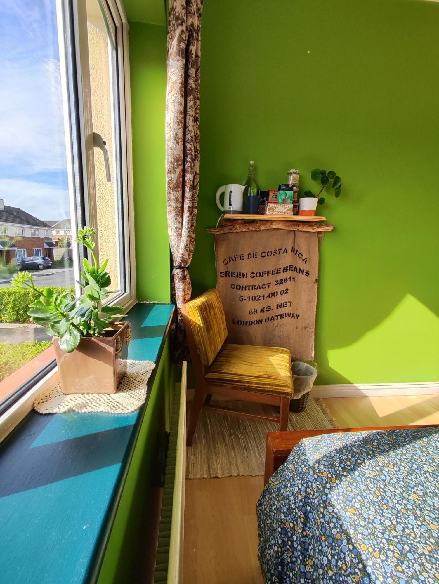 The Green Room Homestay Galway Bagian luar foto